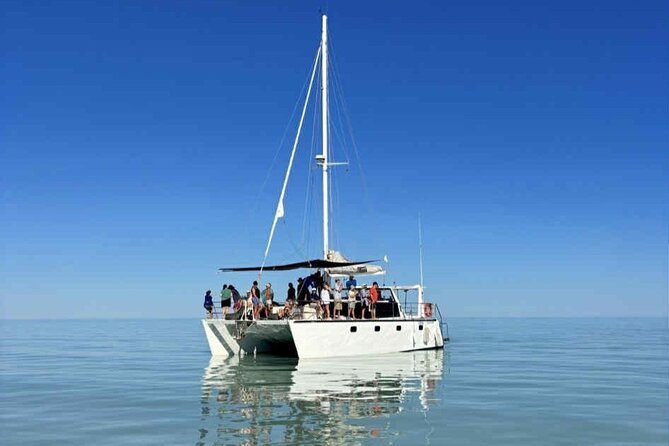 Broome's only Crabbing Adventure & Wildlife Cruise - Taking the tender into the mangrove creeks