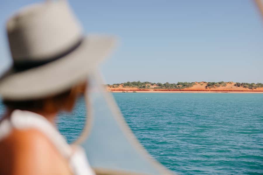 Broome: Snubfin Dolphin Cruises - Searching for snubfin dolphins and other wildlife