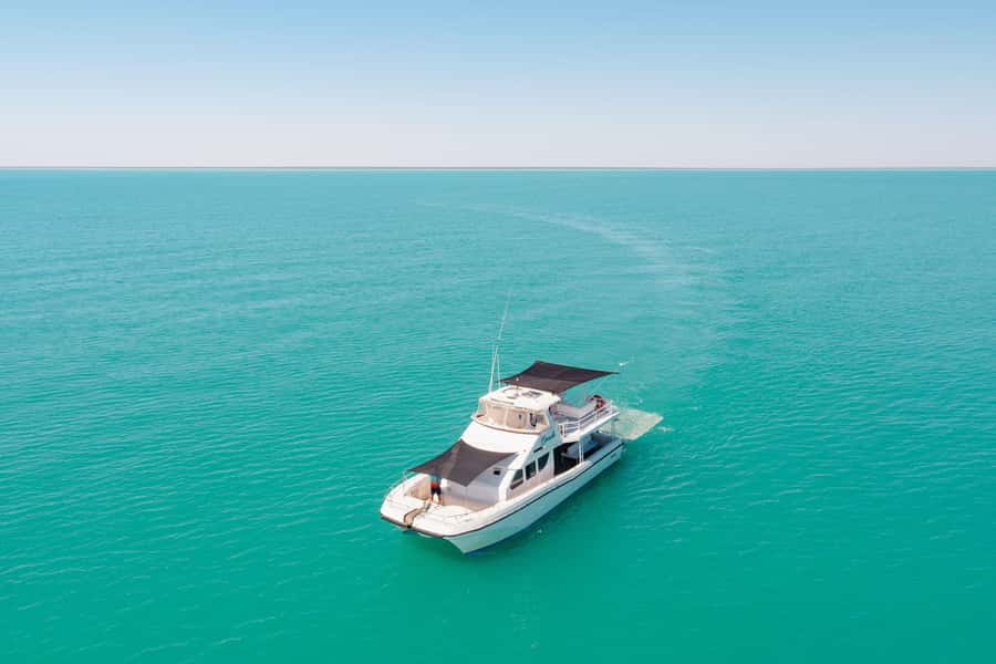Broome: Whale Watching & Sunset Cruise - Three hours of searching for humpback whales
