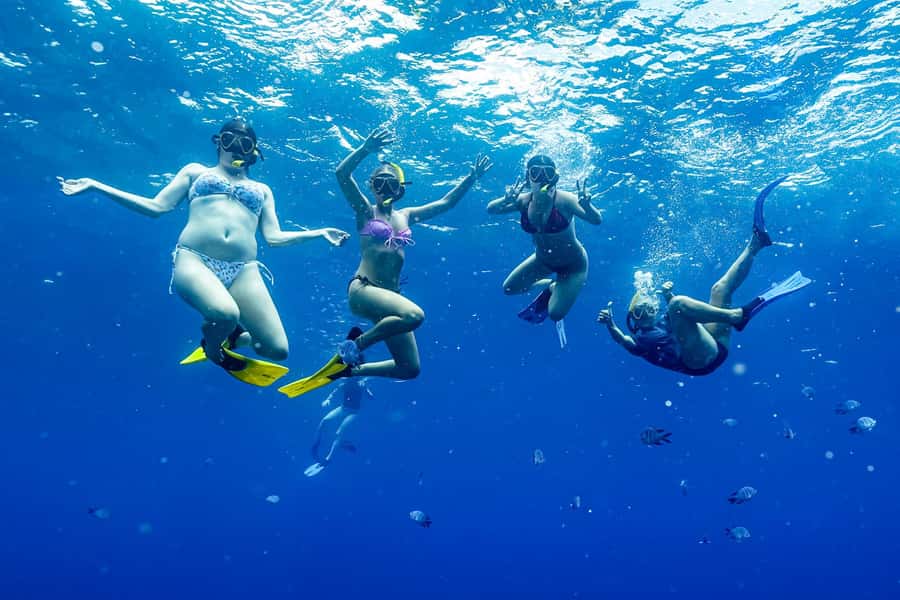 Brunswick Heads: Snorkelling in Byron Bay - Is $91 good value?