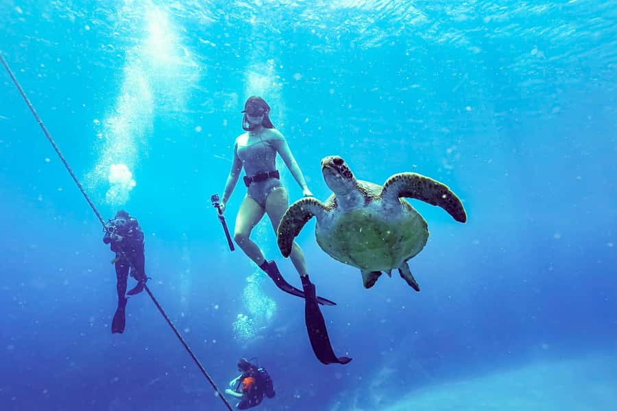Brunswick Heads: Snorkelling in Byron Bay - Weather, seasickness, and practical planning
