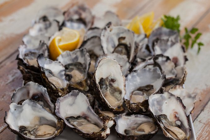 Bruny Island Traveller - Gourmet Tasting and Sightseeing Day Trip from Hobart - Forest walks, history and island stories
