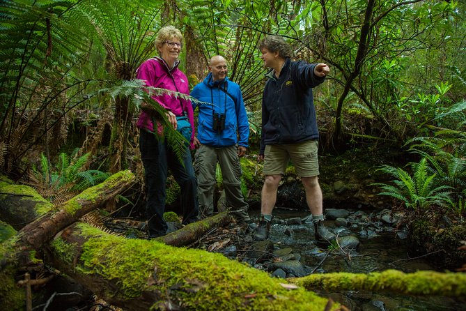 Bruny Island Traveller - Gourmet Tasting and Sightseeing Day Trip from Hobart - The Neck lookout and Bruny’s big views