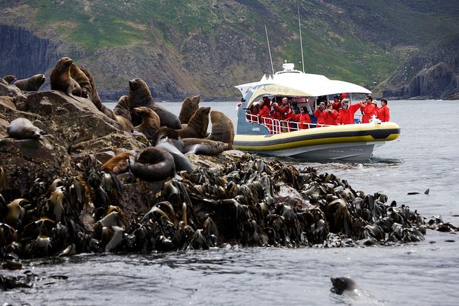 Bruny Island Wilderness Cruise from Adventure Bay, Bruny Island - South Bruny’s coast is the real attraction