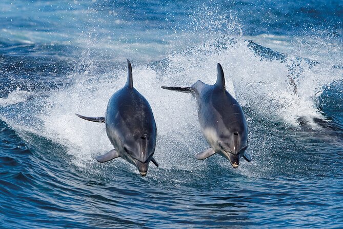 Bruny Island Wilderness Cruise from Adventure Bay, Bruny Island - Cold-weather clothing is not optional