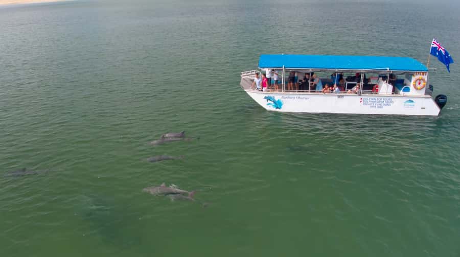 Bunbury: Swim with Dolphins Tour - Is $155 a fair price?