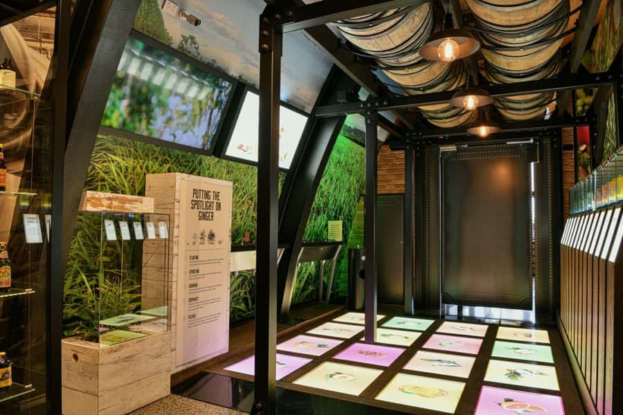 Bundaberg: Brew Tasting and Self-Guided Gallery Tour - The six-pack changes the price calculation