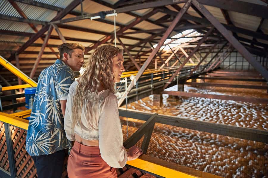 Bundaberg; Bundaberg Rum Distillery Tour and Tasting - Why Bundaberg Rum is worth an hour