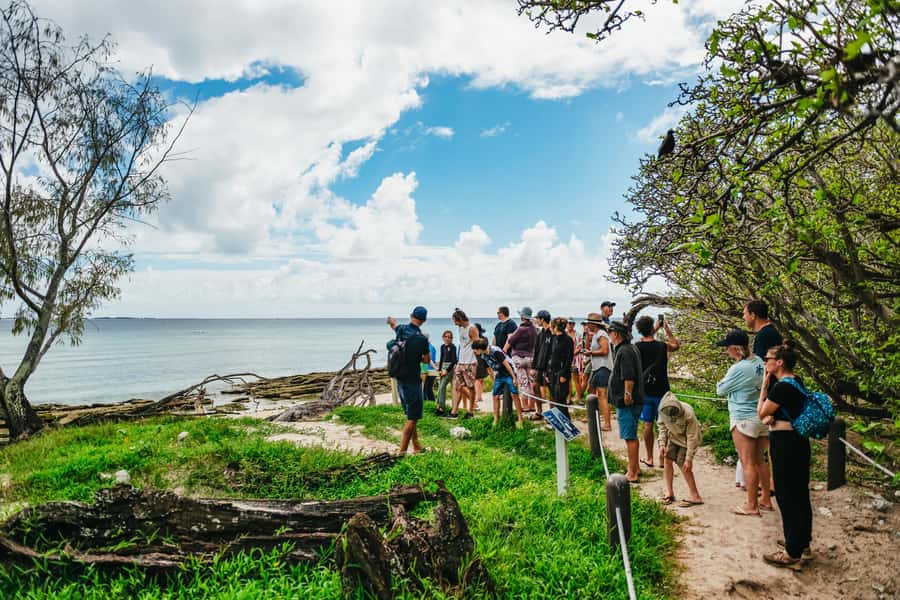 Bundaberg: Lady Musgrave Island and Great Barrier Reef Tour - Key points to know before you book