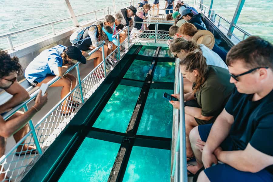 Bundaberg: Lady Musgrave Island and Great Barrier Reef Tour - Lady Musgrave HQ and the coral lagoon