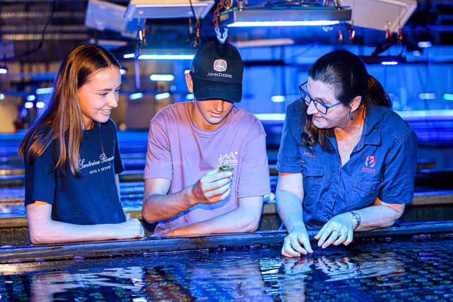 Bundaberg: Monsoon Aquatics Coral Farm Guided Tour - What Monsoon Aquatics really is