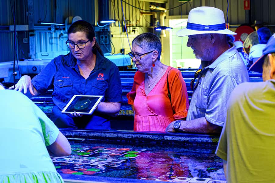Bundaberg: Monsoon Aquatics Coral Farm Guided Tour - Getting good value for $22