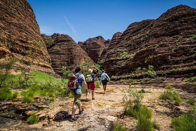 Bungle Bungle Scenic Flights, Domes & Cathedral Gorge Walk - Landing near the Bungle Bungle domes