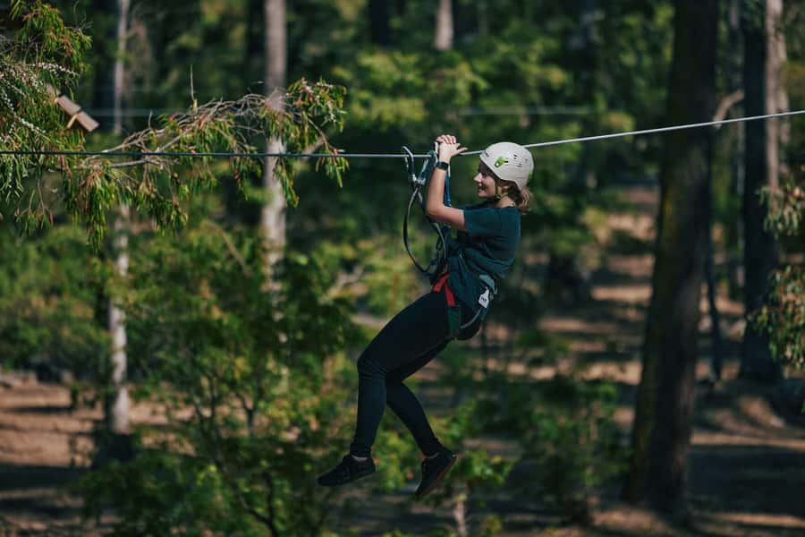 Busselton: Forest Adventure with Zip Lining and Rope Course - The zipline course is the easiest crowd-pleaser