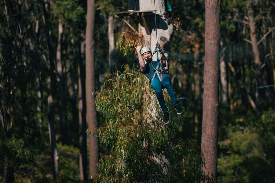 Busselton: Forest Adventure with Zip Lining and Rope Course - BMX bikes and skateboards in the treetops