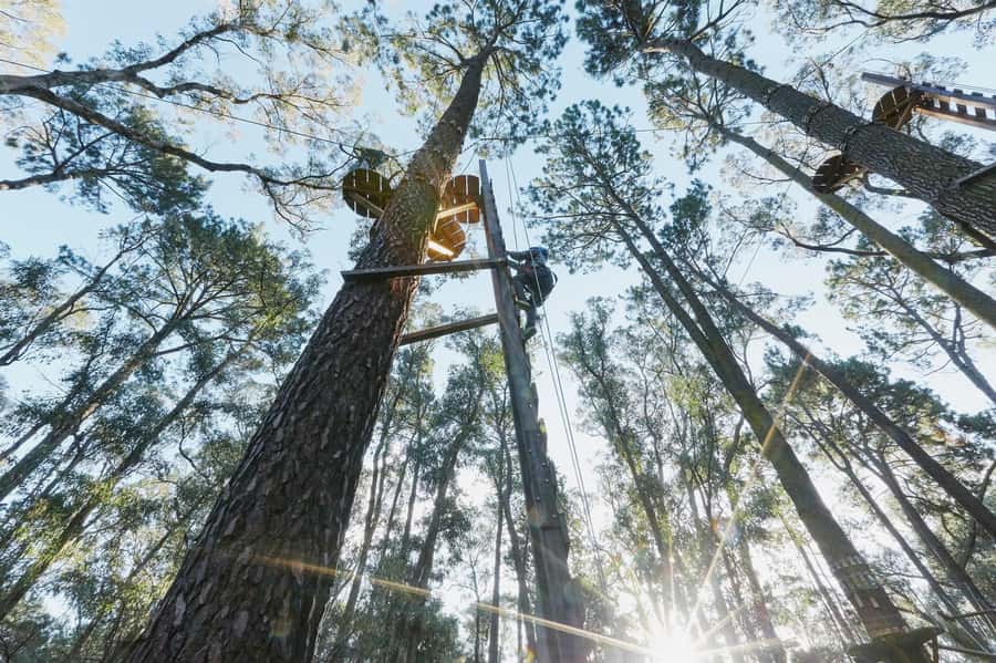 Busselton: Forest Adventure with Zip Lining and Rope Course - What the two-hour session feels like