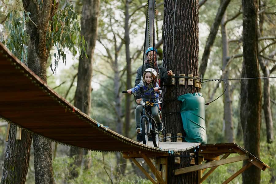 Busselton: Forest Adventure with Zip Lining and Rope Course - Who will enjoy this most?