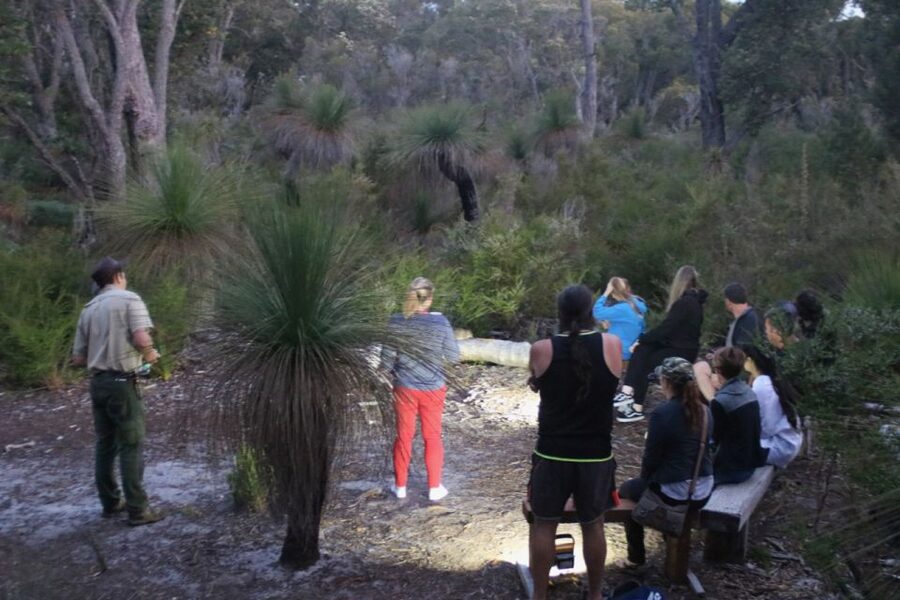 Busselton: Nocturnal Animal Tour - Key points to know before you book