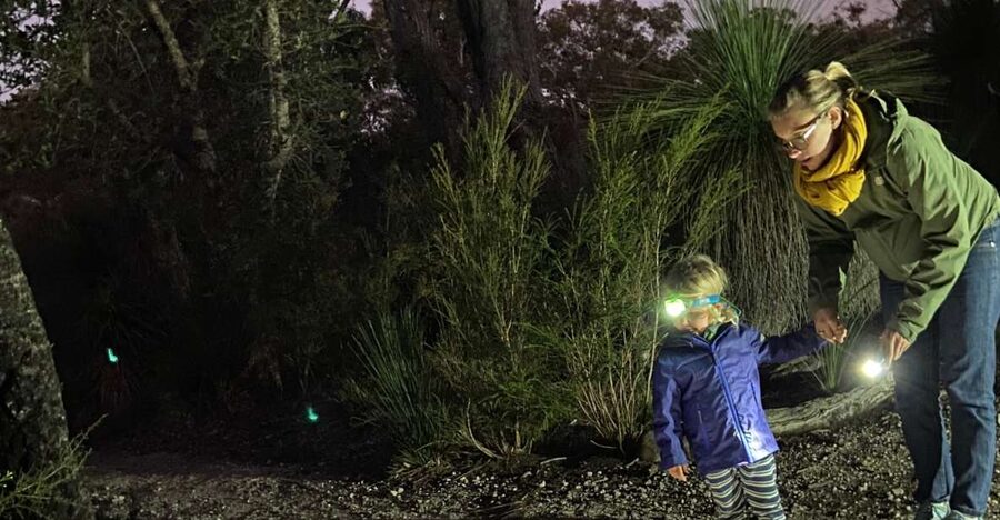 Busselton: Nocturnal Animal Tour - Who will enjoy this two-hour night tour