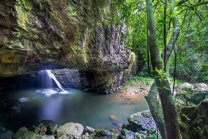 Byron Bay, Bangalow & Gold Coast Day Trip from Brisbane - The optional macadamia stop depends on the clock