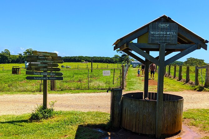 Byron Bay, Bangalow & Gold Coast Day Trip from Brisbane - Trevor’s guiding adds value to the drive
