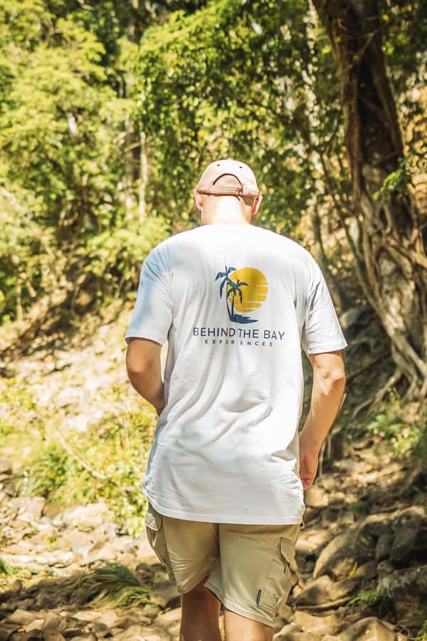 Byron Bay: Behind The Bay Waterfalls & Hidden Gems Day Tour - Guides, music and the small-group feel