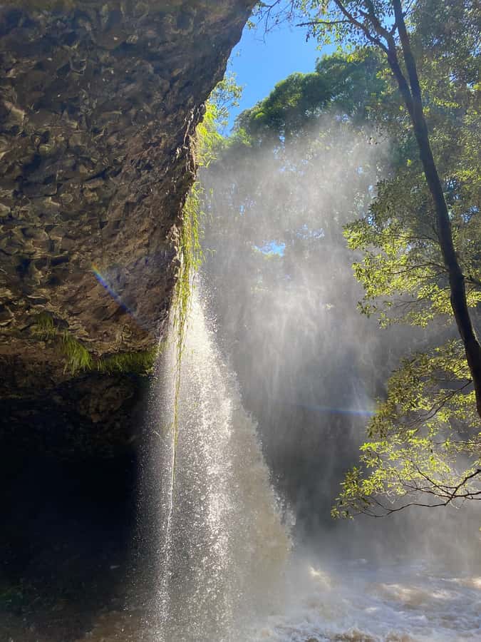 Byron Bay: Behind The Bay Waterfalls & Hidden Gems Day Tour - The ride from Byron Bay into the hinterland