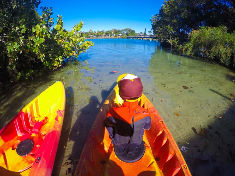 Byron Bay: Brunswick River Scenic Kayak Tour - Practical preparation for the river