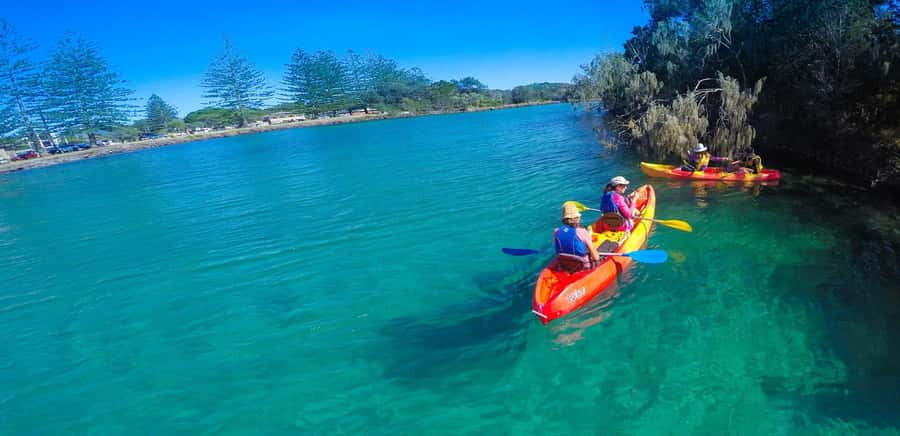 Byron Bay: Brunswick River Scenic Kayak Tour - Why this river trip works so well near Byron Bay