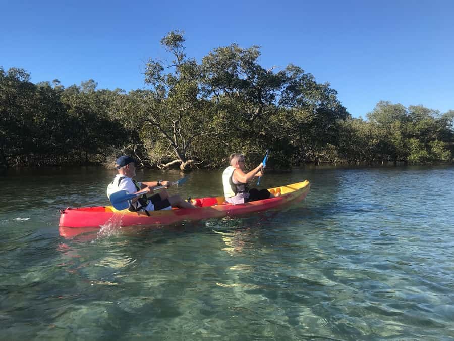 Byron Bay: Brunswick River Scenic Kayak Tour - Mangroves, birds, and life below the kayak