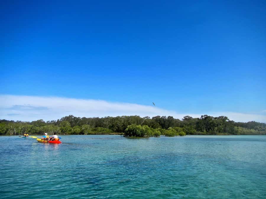 Byron Bay: Brunswick River Scenic Kayak Tour - What the guide adds