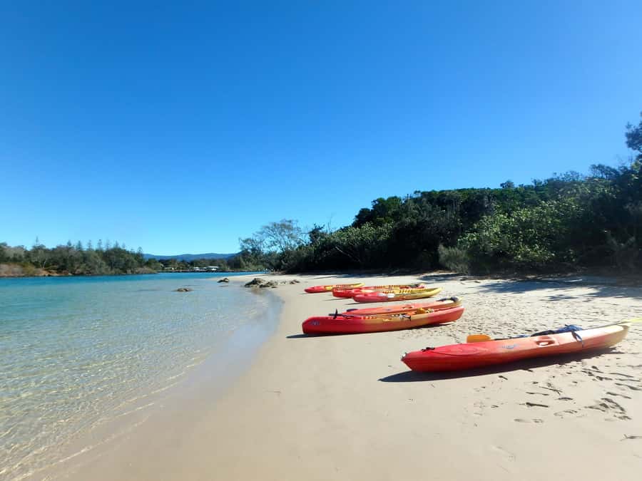 Byron Bay: Brunswick River Scenic Kayak Tour - Who should book this kayak tour?