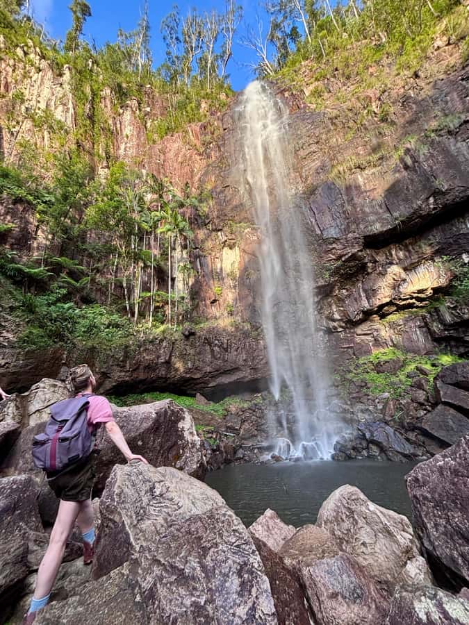 Byron Bay: Glowworms, Waterfalls & Rainforest Experience - Walking through Nightcap National Park