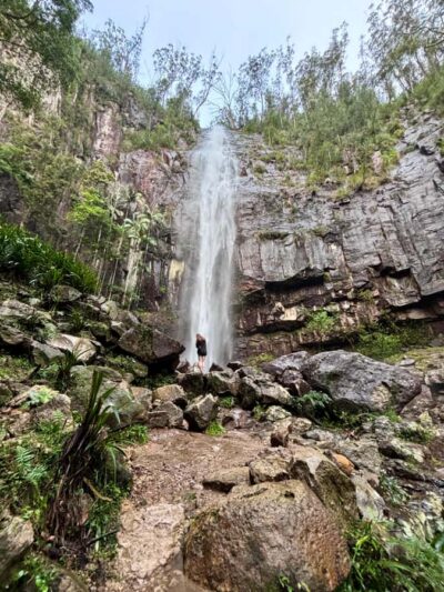 Glowworms, Waterfalls & Rainforest Experience