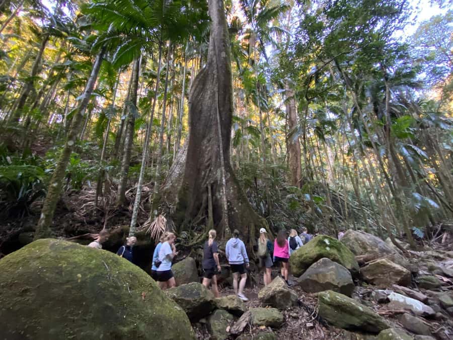 Byron Bay: Glowworms, Waterfalls & Rainforest Experience - The talks that give the trip a point of view
