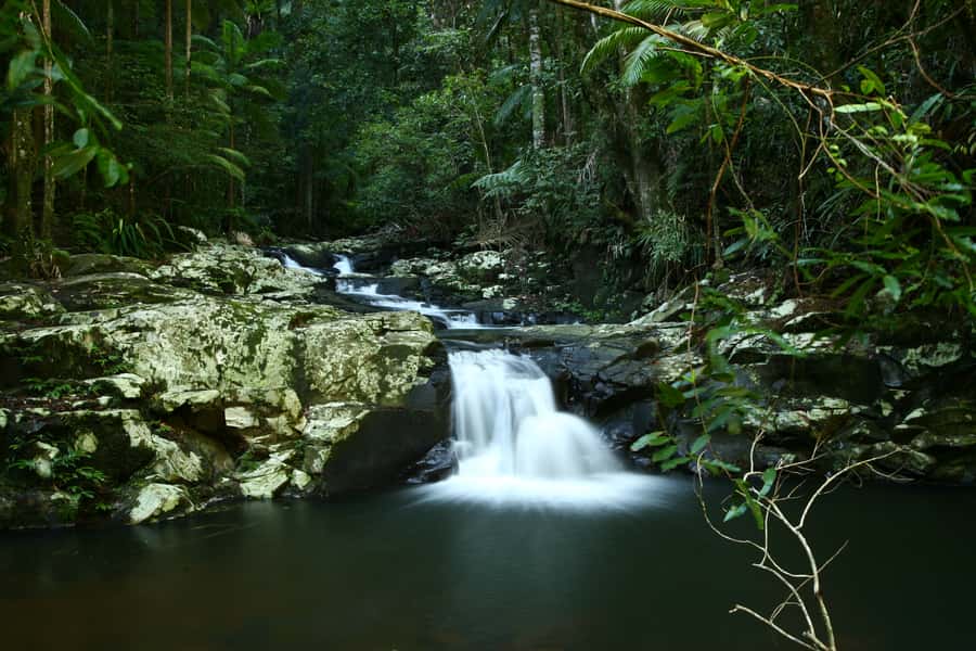 Byron Bay: Glowworms, Waterfalls & Rainforest Experience - Who will enjoy this experience most