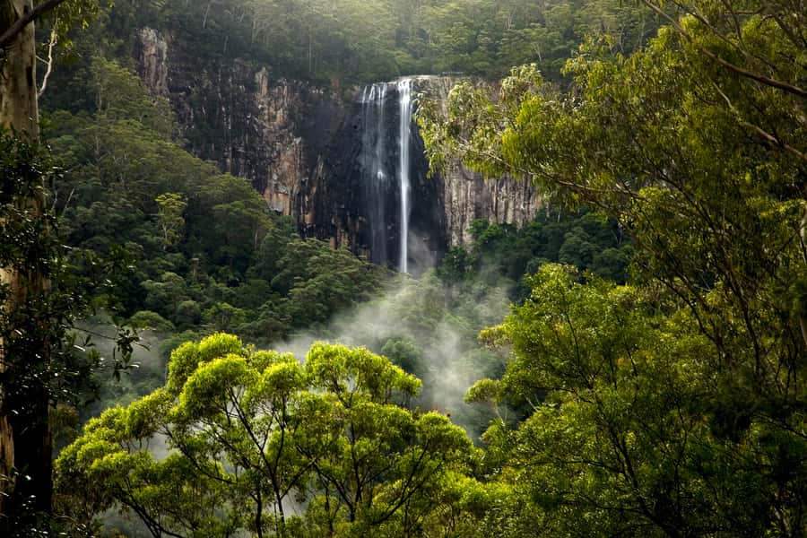 Byron Bay: Glowworms, Waterfalls & Rainforest Experience - Should you book it?
