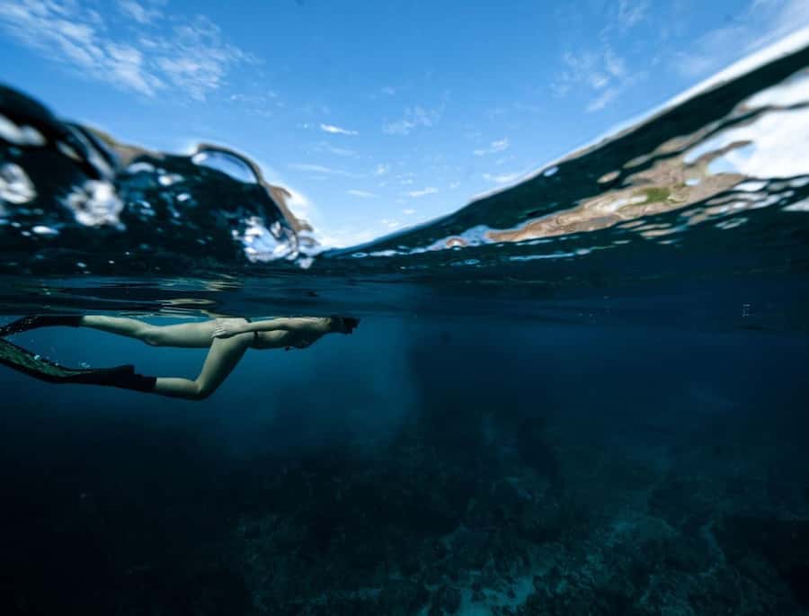 Byron Bay: Snorkeling Tour at Julian Rocks, Nguthungulli - Ninety minutes around Nguthungulli