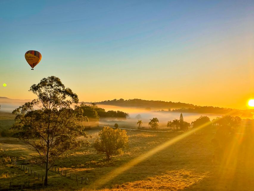 Byron Bay: Sunrise Hot Air Balloon Flight with Breakfast - The flight, from treetops to open views