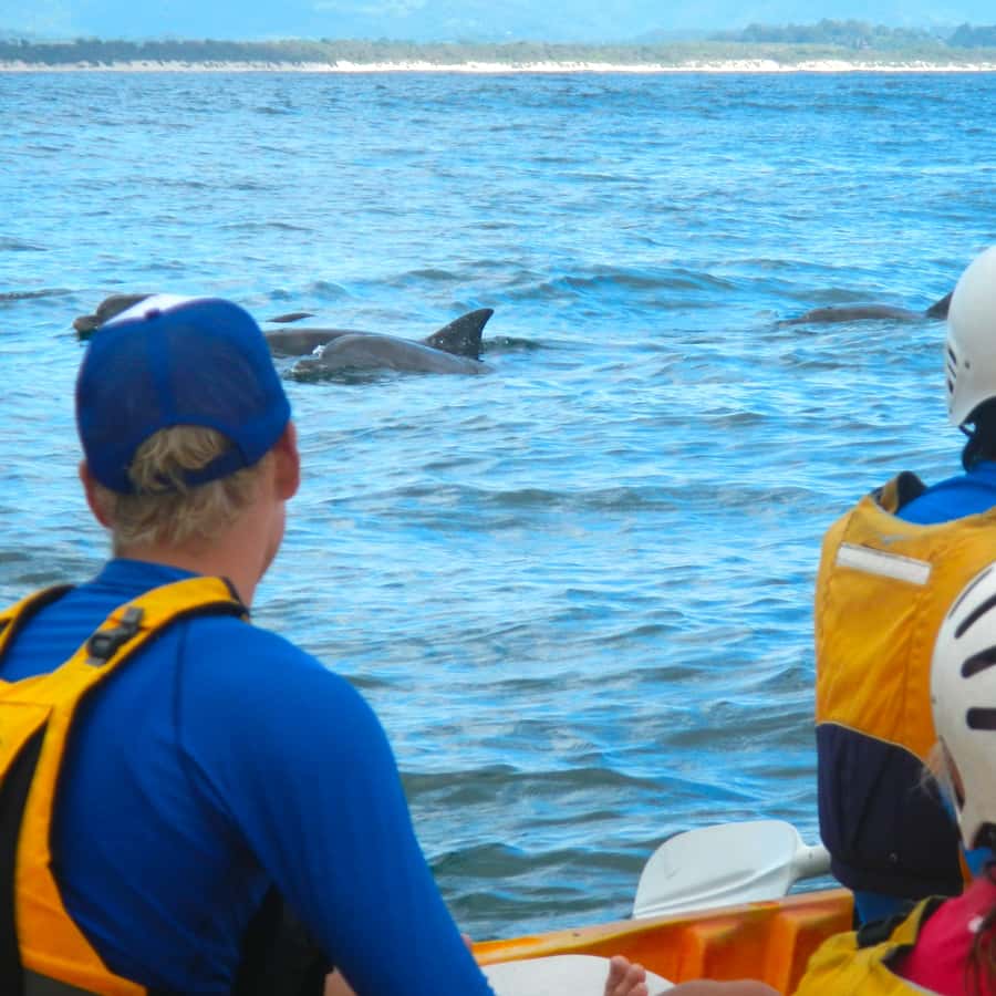 Byron Bay: The Byron Bay Sea Kayak Tour - Starting at Main Beach with a 15-minute safety briefing
