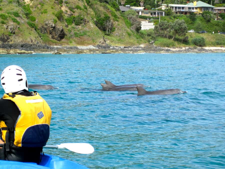 Byron Bay: The Byron Bay Sea Kayak Tour - Cape Byron Lighthouse from the water