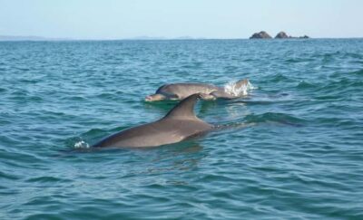 The Byron Bay Sea Kayak Tour