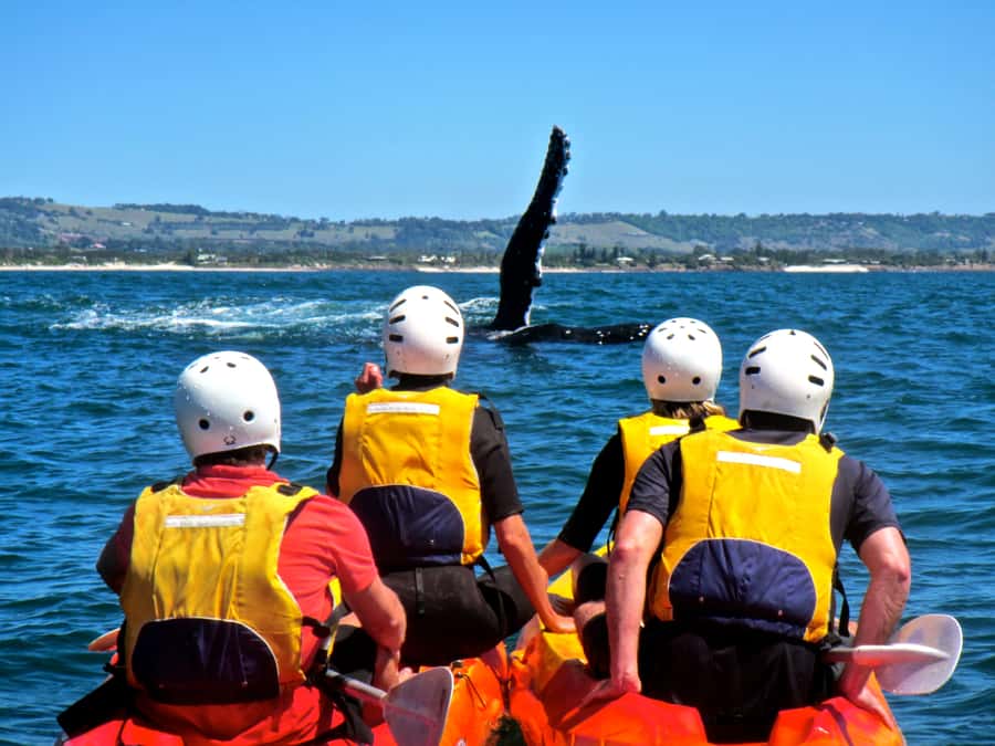 Byron Bay: The Byron Bay Sea Kayak Tour - Who will enjoy this most