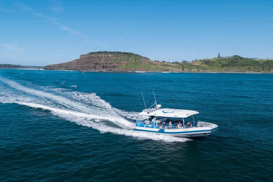 Byron Bay: Whale Watching Cruise with a Marine Biologist - Listening to humpback song beneath the boat