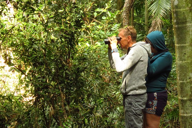 Byron Bay Wildlife Safari - Key points to know before booking