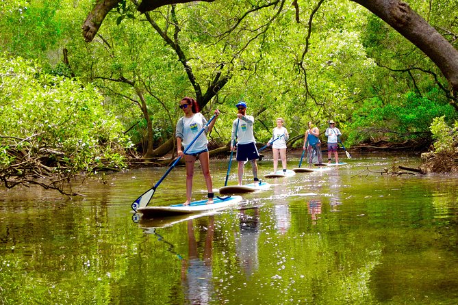 Byron Bay Wildlife Safari - A local picnic in the middle of the day