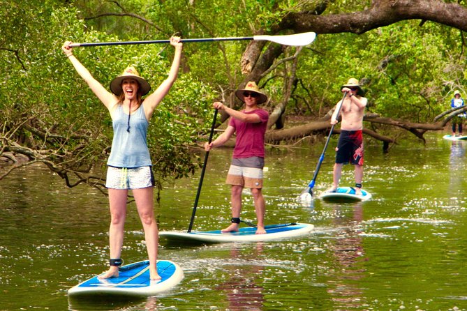 Byron Stand Up Paddle Nature Tour - Why this river tour feels different from a standard Byron activity