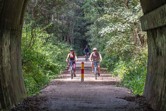 Byron Stand Up Paddle Nature Tour - A short water stop and the tunnel of trees