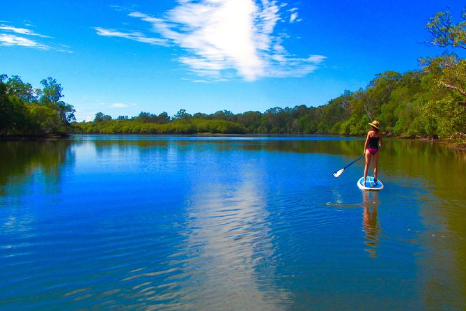 Byron Stand Up Paddle Nature Tour - Wildlife, photos, and the value of a guide