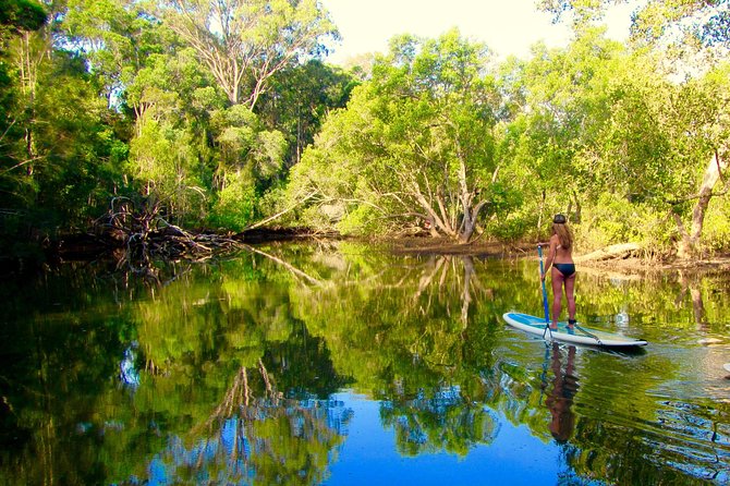 Byron Stand Up Paddle Nature Tour - Is $71.01 good value?